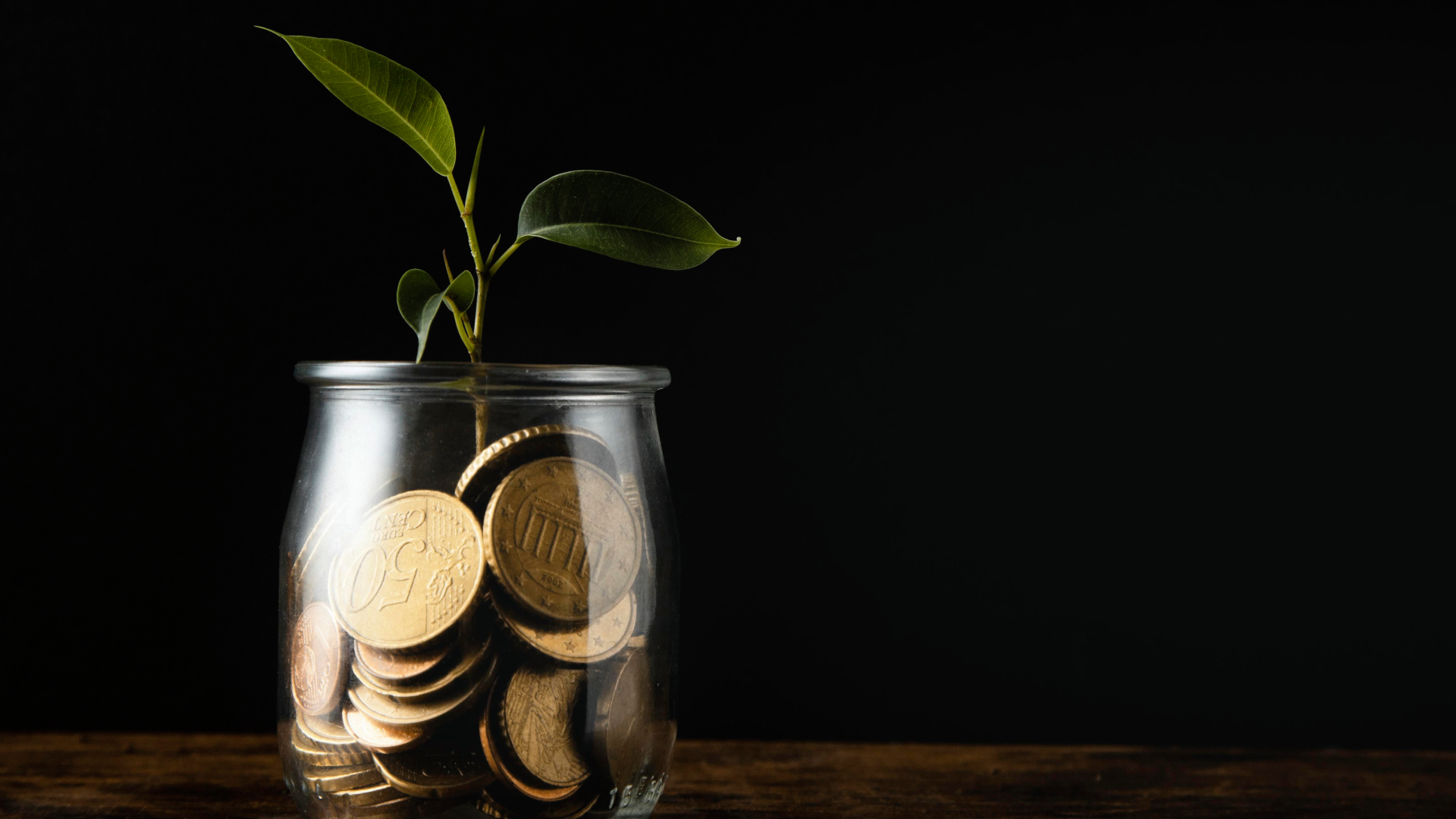 Investment Blog Image